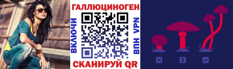 Купить где  Аткарск  Галлюциногенные грибы GOLDEN TEACHER 