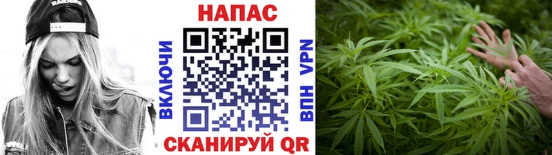 Купить где  Аткарск  Каннабис план 
